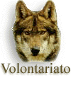 wwf_volontariato