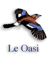 le_oasi