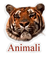 wwf_animali